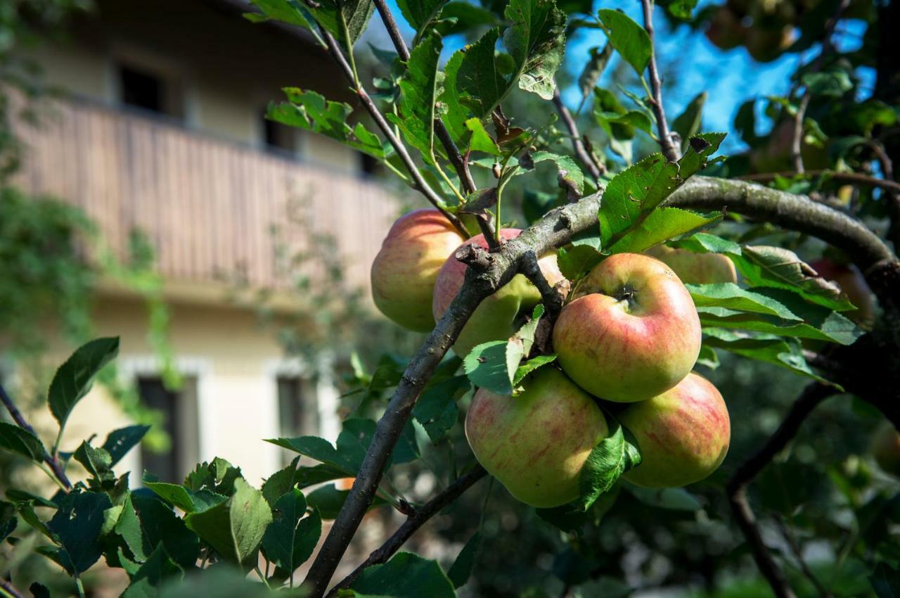 Pr'Jernejc Agroturism Villa Lesce  Exterior photo