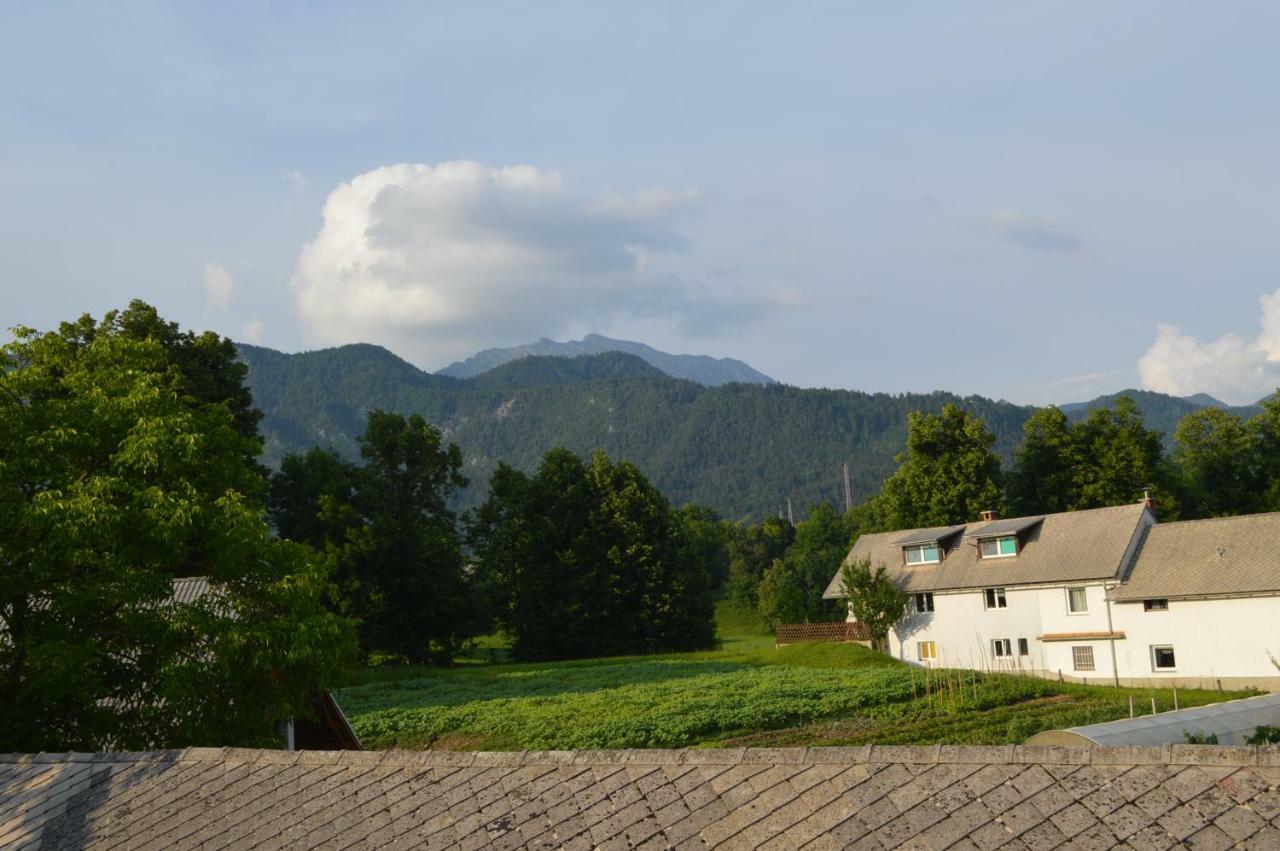 Pr'Jernejc Agroturism Villa Lesce  Exterior photo